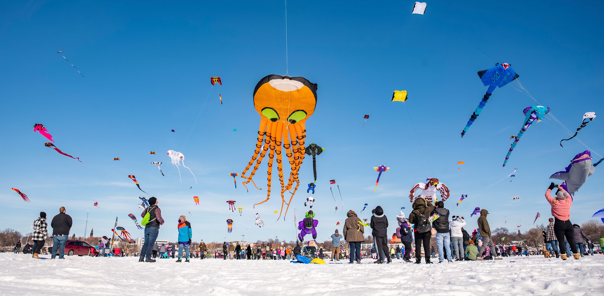 Buffalo Kite Fest